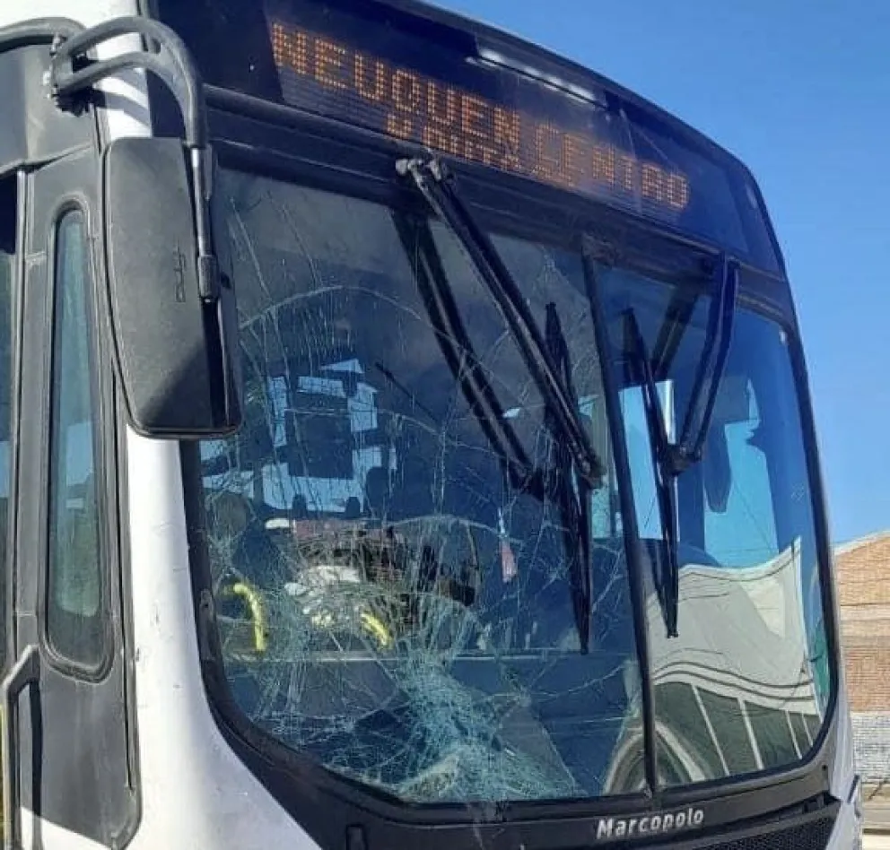 Accidente en Ruta 22: Colectivo de la empresa Ko Ko embistió  a una camioneta 