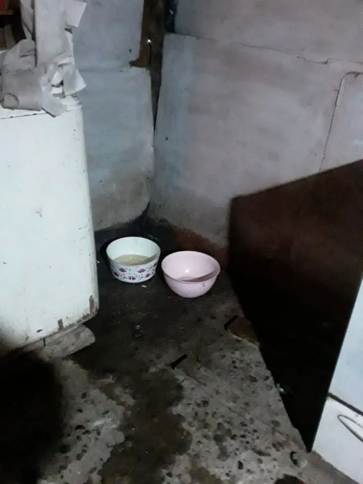 La lluvia y sus consecuencias: casas inundadas y falta de leña