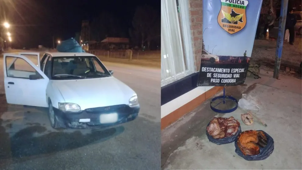 Se dirigía a Cipolletti y lo detuvieron con 12 kilos de carne equina, una pata de guanaco y un piche faenado