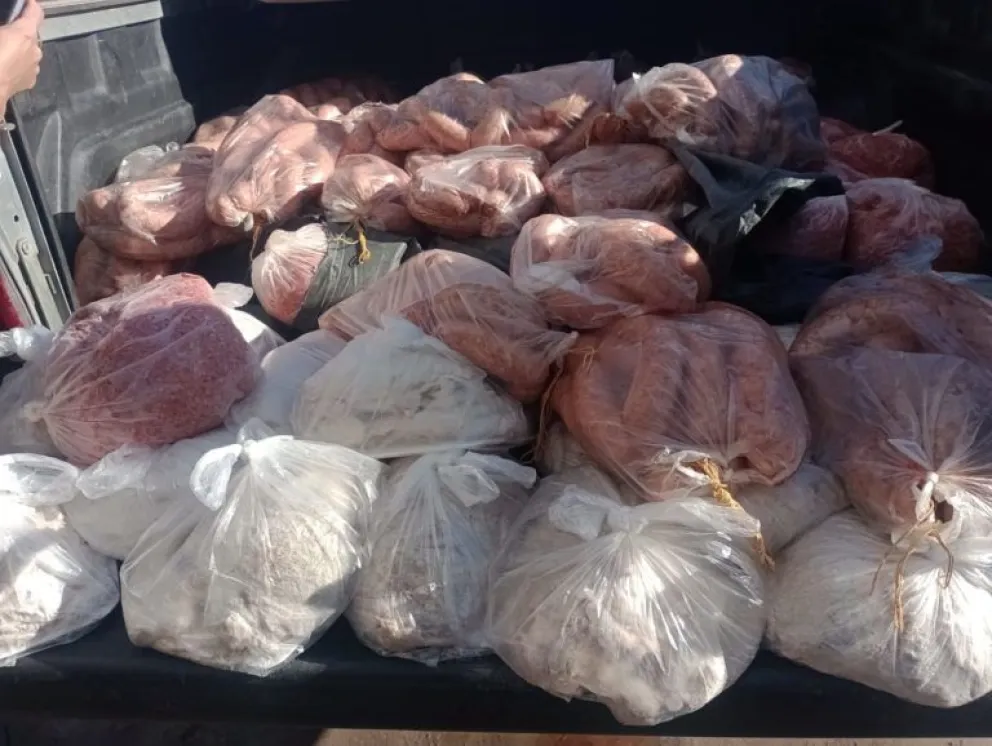 Decomisaron cargamento ilegal de alimentos que tenía como destino la ciudad de Cipolletti 