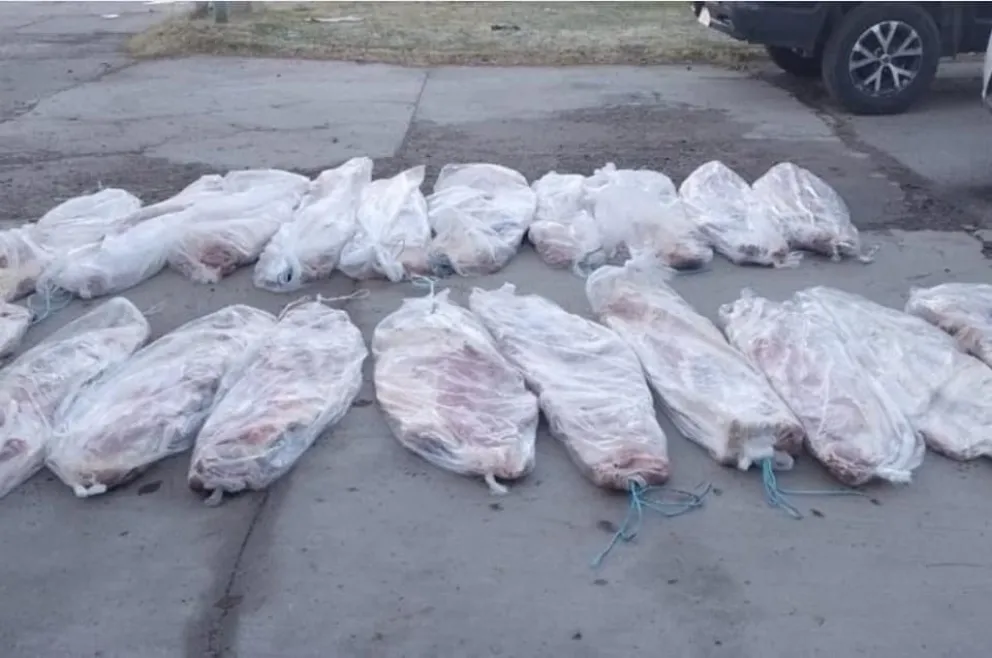 La policía decomisó varios costillares que eran trasladados en un camión en el Alto Valle 