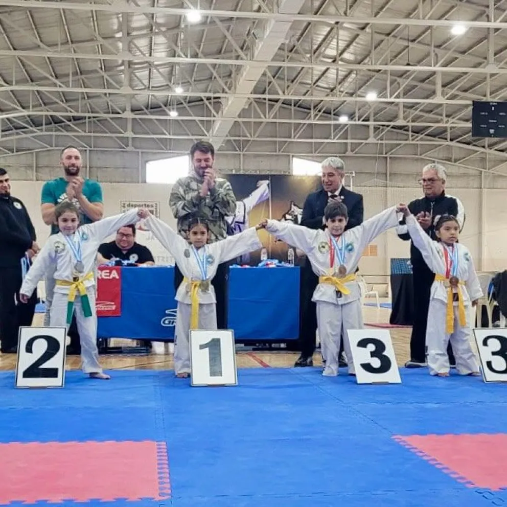 Cientos de chicos participaron del Interprovincial de Taekwondo 