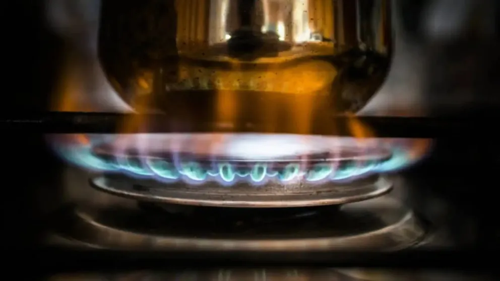 El Gobierno postergó la suba de gas 