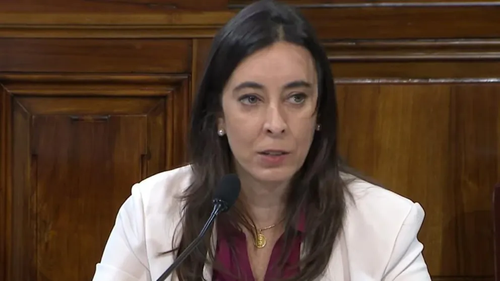 Designaron a la hija de Domingo Cavallo como representante de la OEA
