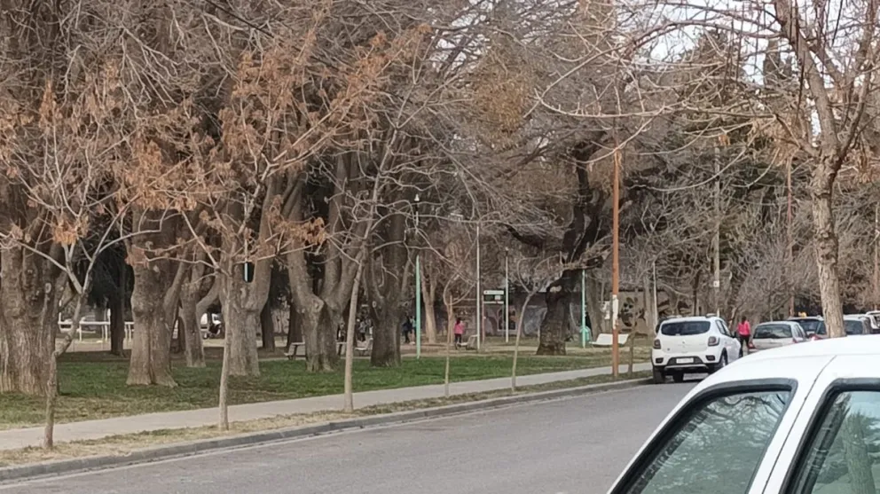 El frío e inestabilidad completan la semana en el Alto Valle ¿Vuelve la lluvia en los próximos días?