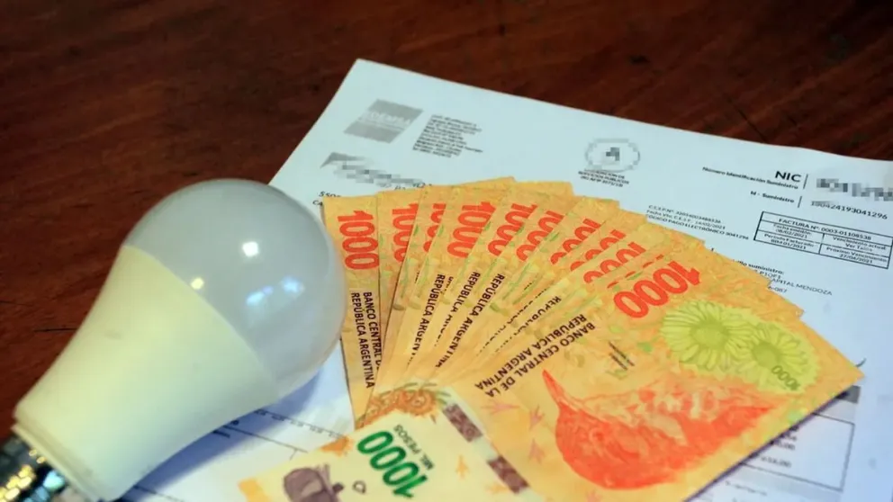 Aumento en las tarifas de luz y gas: "Hay familias que pasaron de pagar 6 mil pesos a 80 mil"