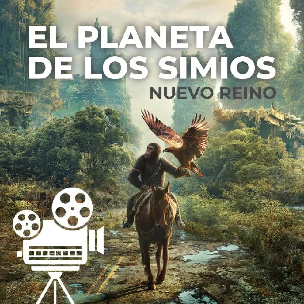 La guía cultural: lo que hay para ver durante el fin de semana