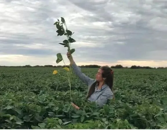 Magal&iacute; Guti&eacute;rrez, la agr&oacute;noma que es la cara visible del proyecto.