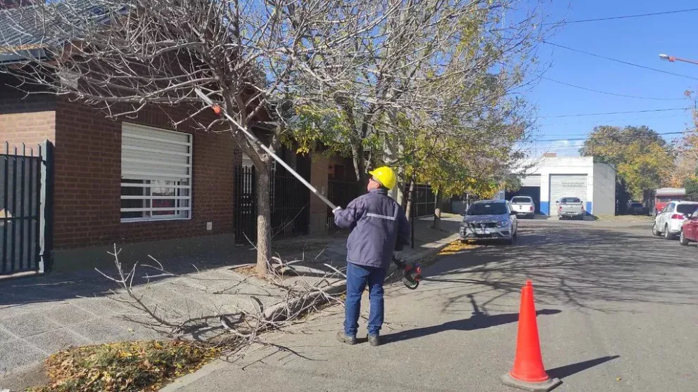 Comienza la temporada de poda en la ciudad con un cronograma por los distintos barrios 
