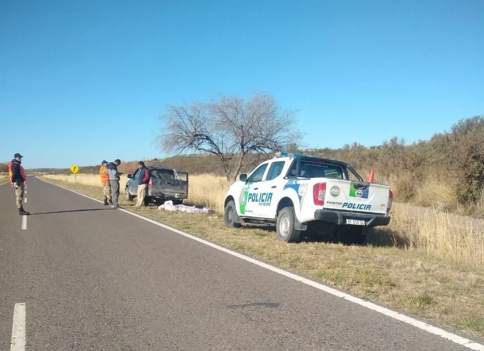 Decomisaron gran cantidad de carne vacuna durante un allanamiento 