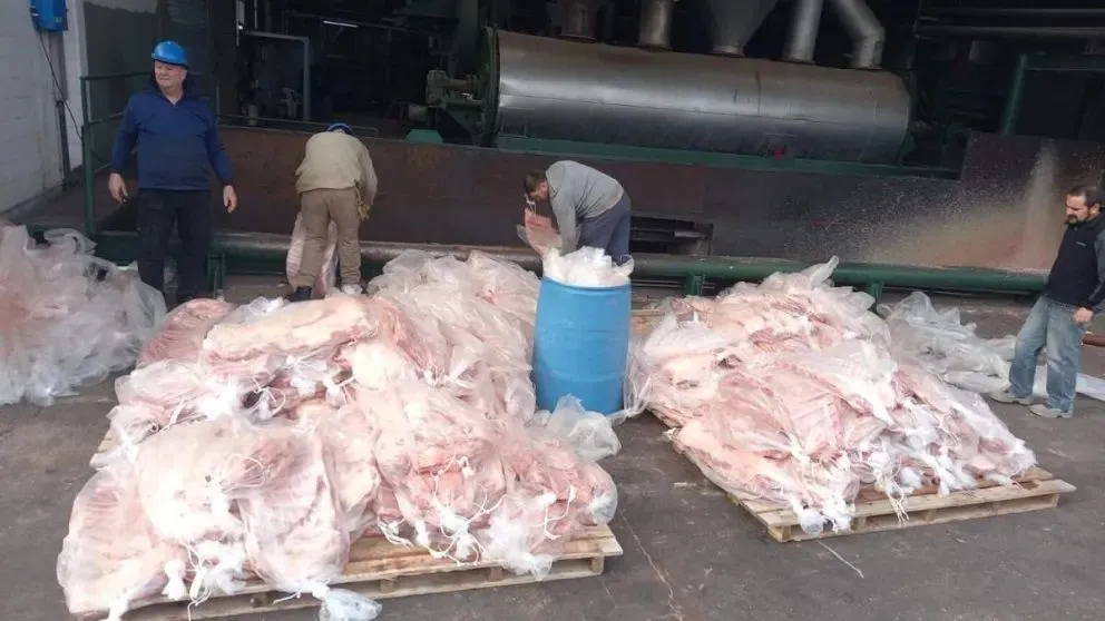 Venían a Cipolletti con más de 5 mil kilos de carne y se la decomisaron