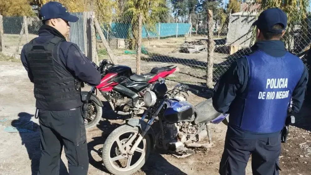 Un exitoso allanamiento en la región revelo múltiples delitos 