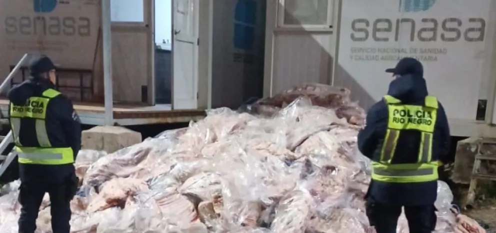 Suspendido el asado de los jueves en Cipolletti: Policía decomisó más de 7.500 kilos de carne 