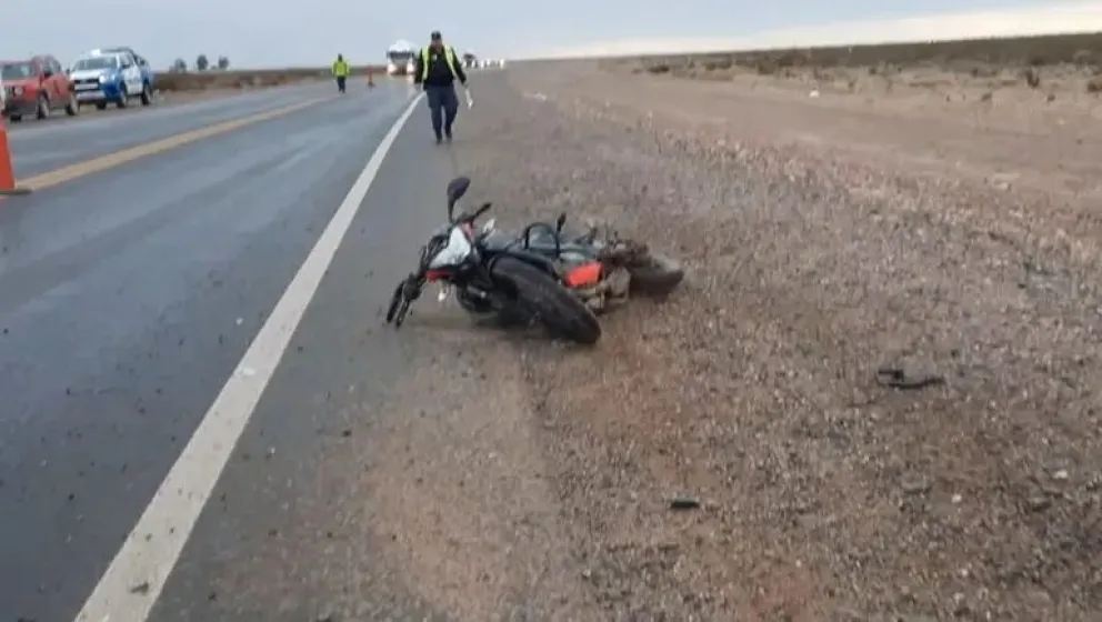 Un camión atropelló a un caballo y como resultado un motociclista sufrió una caída