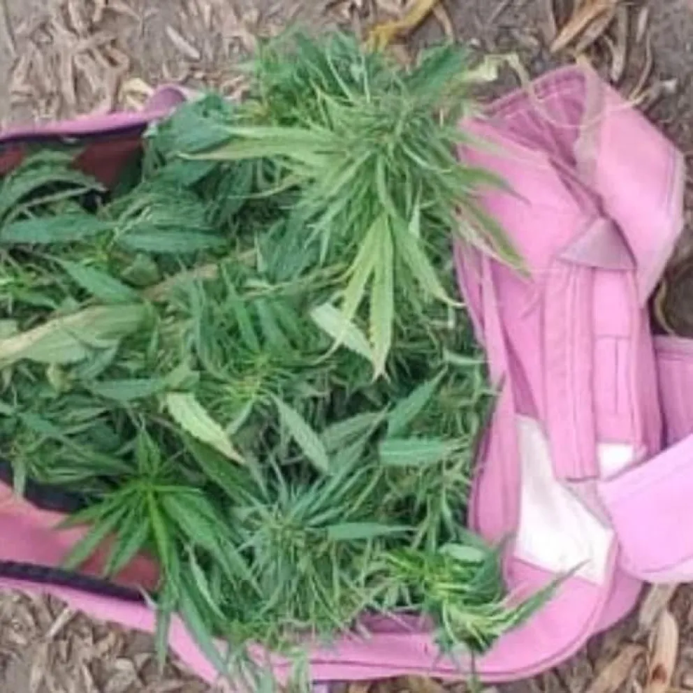 Dos hombres fueron aprehendidos con drogas en el Alto Valle