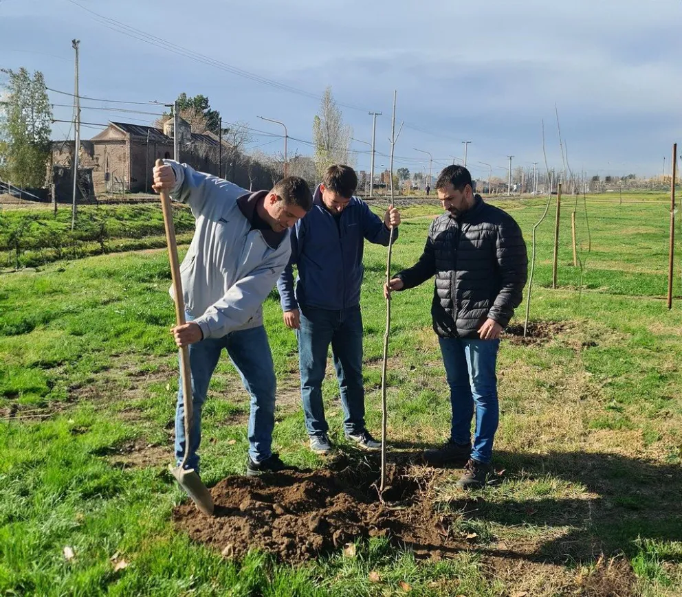 El municipio comenzó a implementar el Plan de Forestación