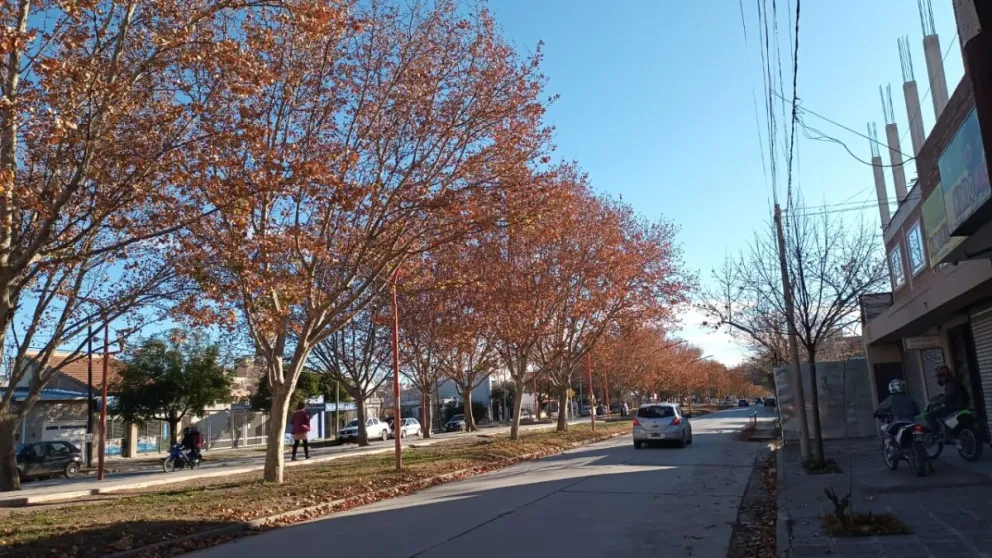   Cielo nublado y vientos cambiantes: así estará el clima en la ciudad