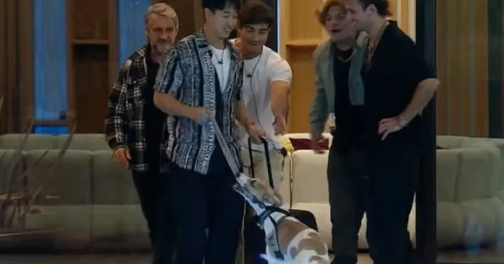 Se conoció cómo fue la salida de Martín Ku y el perrito Arturo de la casa de Gran Hermano