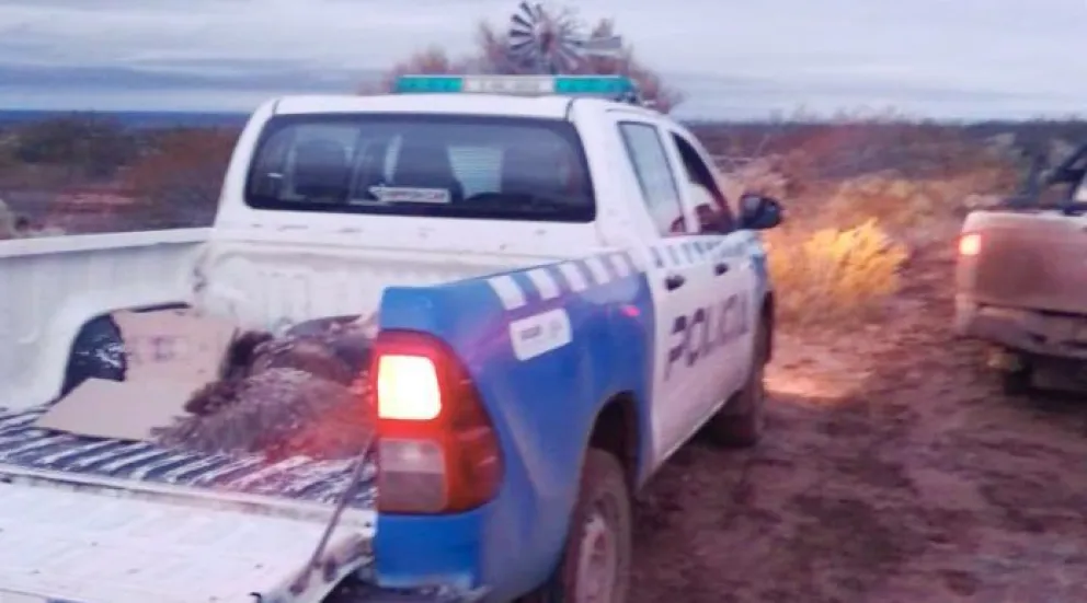 Tendrá que realizar 12 meses de trabajos comunitarios por cazar en un “área natural protegida”