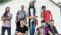 Para ir reservando: la banda Nonpalidece llega con todo el reggae a Cipolletti