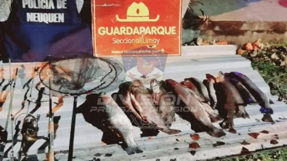Capturaron a cazadores furtivos con carne ilegal en la Ruta Nacional 40