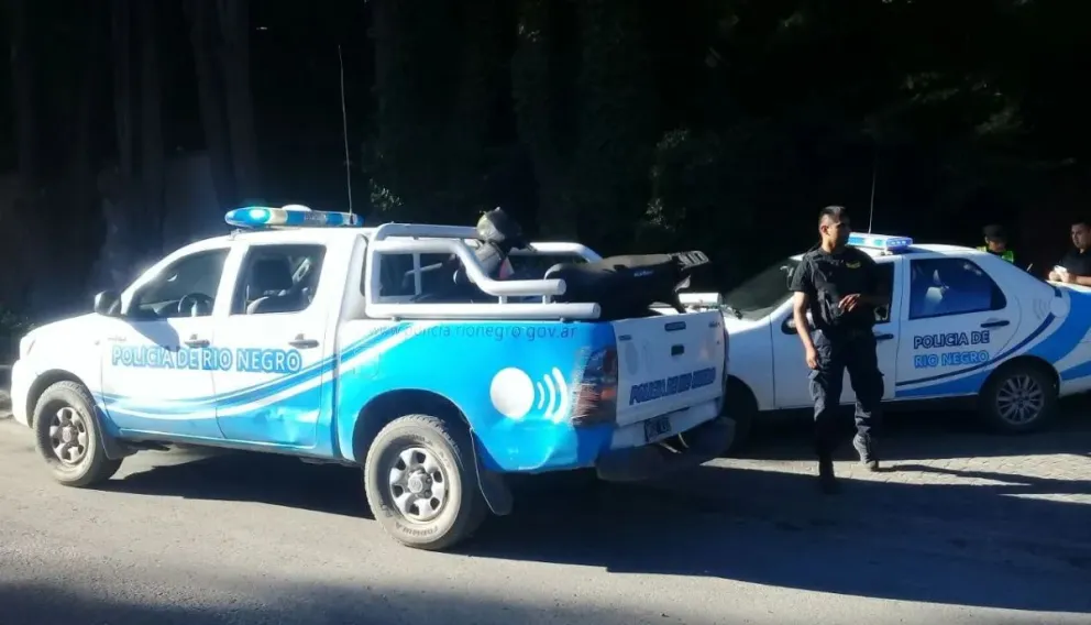 Violento asalto: maniataron a la mujer y a su hijo y se apoderaron de un suculento botín