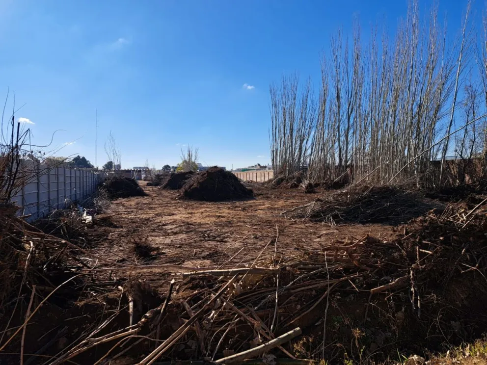 Denuncian daño ambiental e intento de usurpación de tierras al sur de la Ruta 22