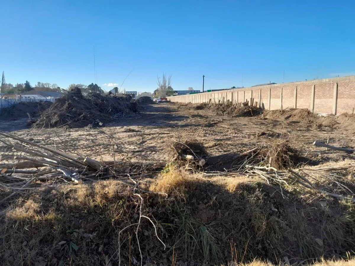 terreno usurpaci&oacute;n