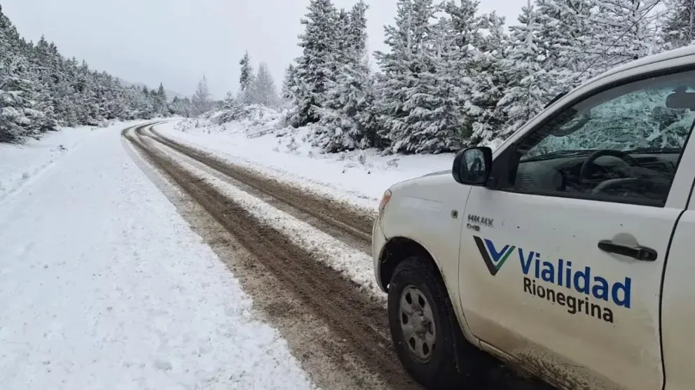Atención viajeros: Así se encuentran las rutas rionegrinas este lunes 