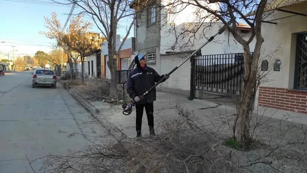 El plan de poda urbana avanza en los barrios San Pablo y Almirante Brown