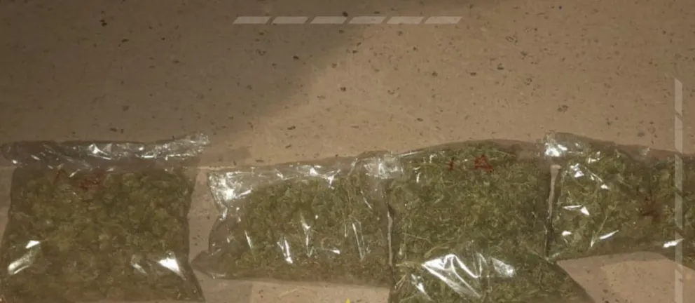 Gran operativo policial: secuestraron cannabis y demoran a dos individuos