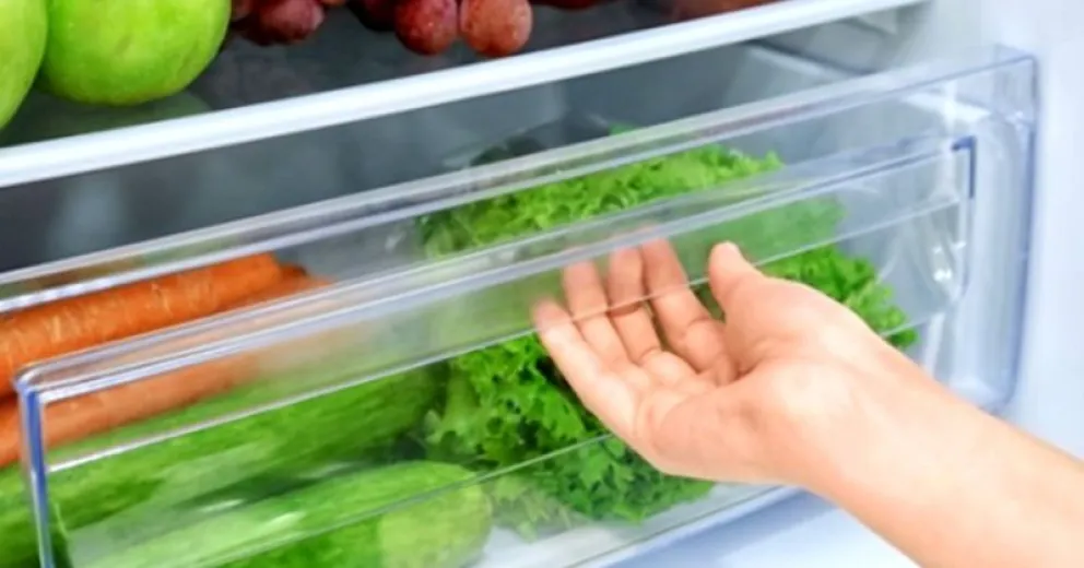 Truco casero para conservar verduras frescas por más tiempo