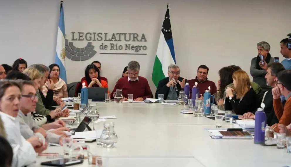 La Legislatura habilitó al Ejecutivo a renegociar las concesiones hidrocarburíferas