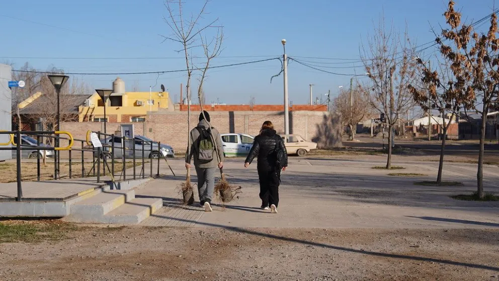 Exitosa campaña de entrega de árboles de vereda en el Distrito Vecinal