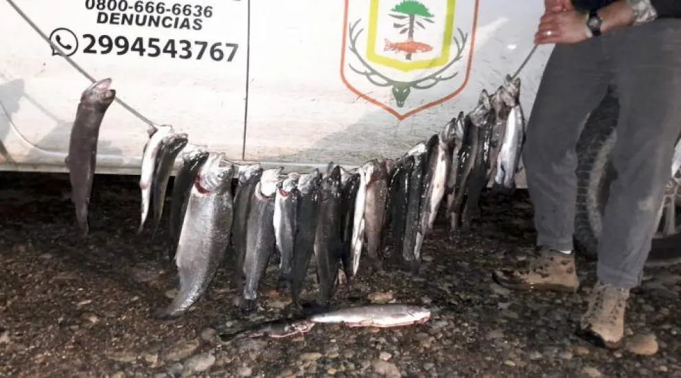 Detuvieron a 5 pescadores y decomisaron 33 salmónidos por portación de pesca ilegal 
