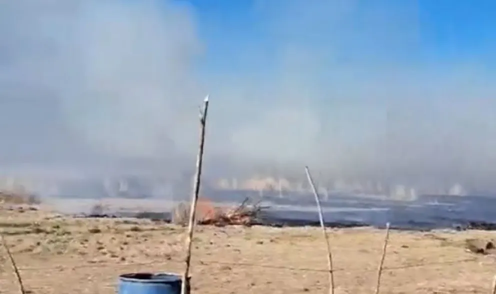 Un incendio forestal arrasó con 7 hectáreas en el Alto Valle