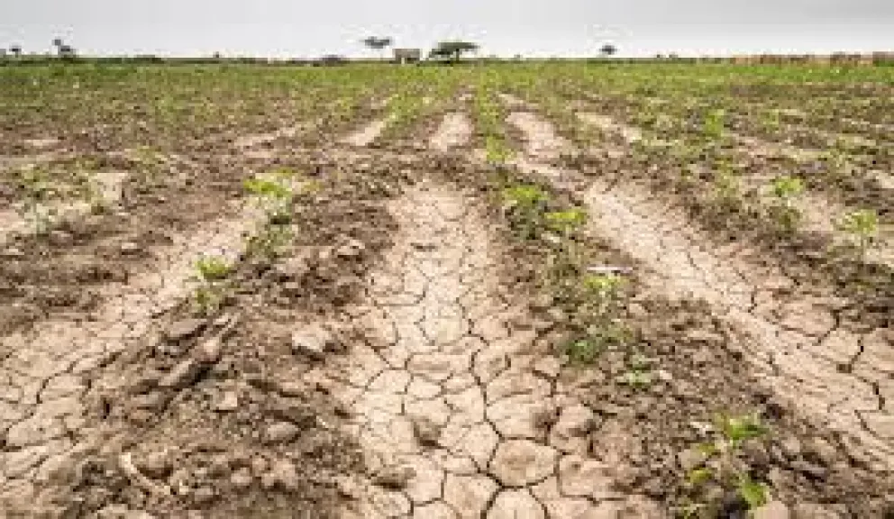 Río Negro prorroga y amplía la emergencia agropecuaria por sequía y nevadas