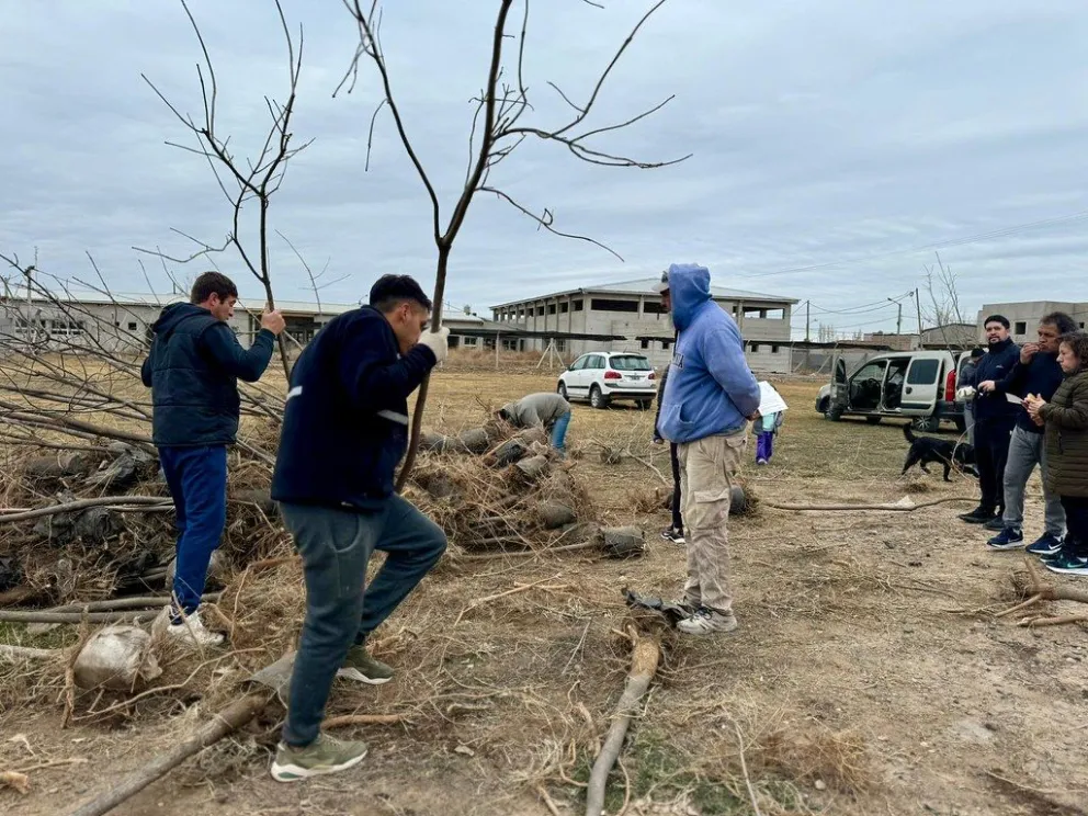 Conocé cómo podes solicitar un árbol de vereda del Vivero Municipal