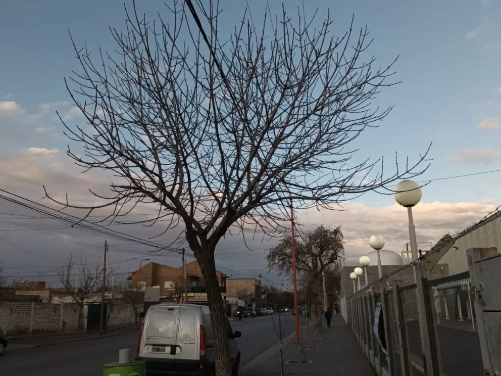 Chaparrones y viento: el miércoles en Cipolletti llega con cambios de clima