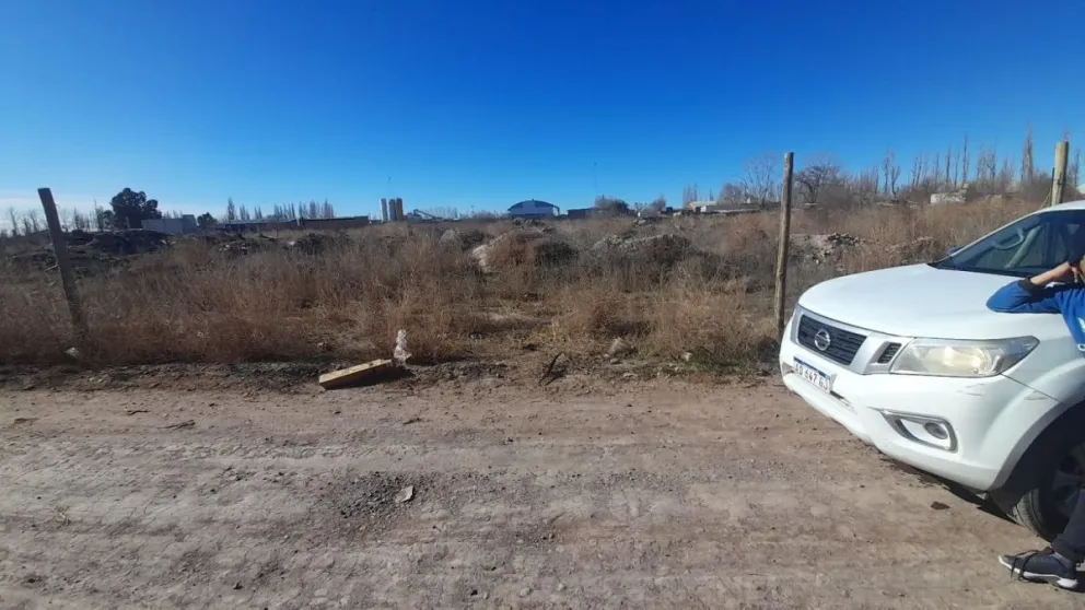 Los agarraron justo: detuvieron a una pareja robando postes en Cipolletti