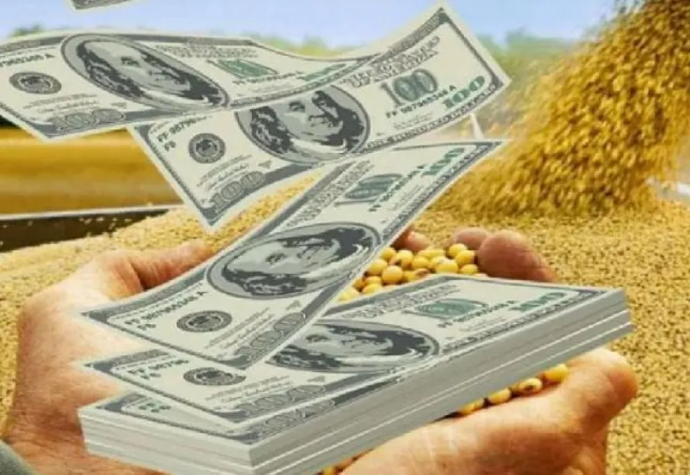 Impuesto PAIS y retenciones: las promesas de Milei para el campo