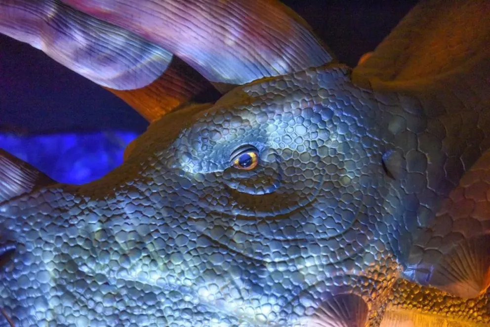 “Viven Dinosaurios”: una gran experiencia para los más chicos…y los más grandes también 