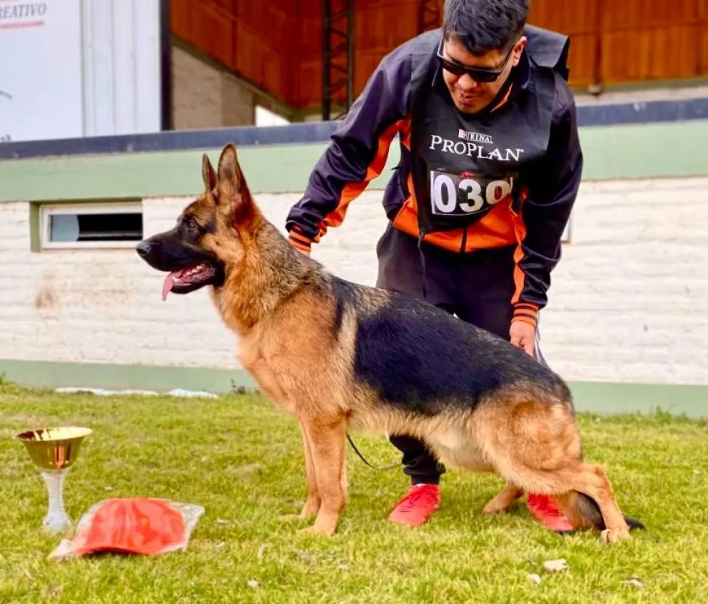 "Xpiderman Von Spieler", un cipoleño de pura raza con podio Norpatagónico y Nacional