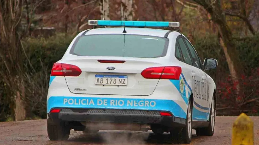 Ingresó a un comercio y amenazó con un arma a los dueños