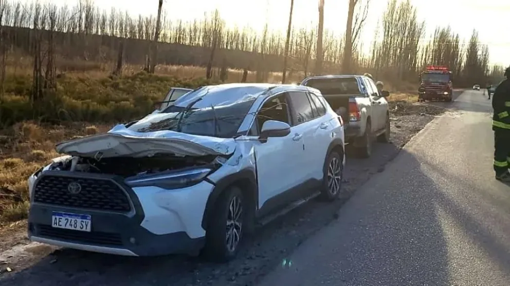 Un álamo se desplomó sobre una camioneta en la ruta 7 