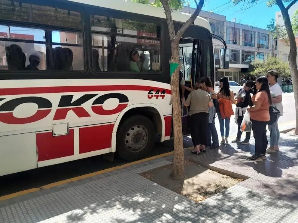 Boleto universitario en Río Negro: qué grupo estudiantil utiliza mayormente este beneficio?