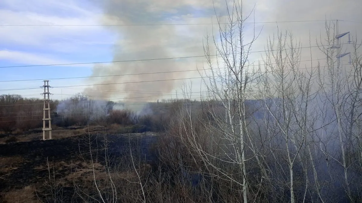 Incendio de Pastizales en la zona de los puentes