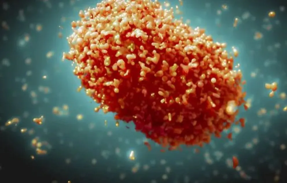 Encuentran la primera cepa mortal de la viruela del mono fuera de África