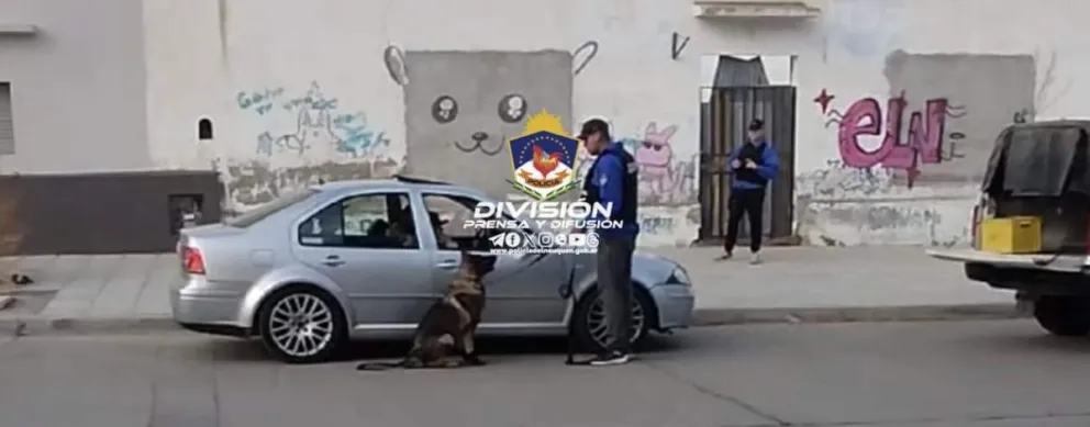 El olfato de Nai no falla: descubrió droga en un vehículo y detuvieron a sus ocupantes