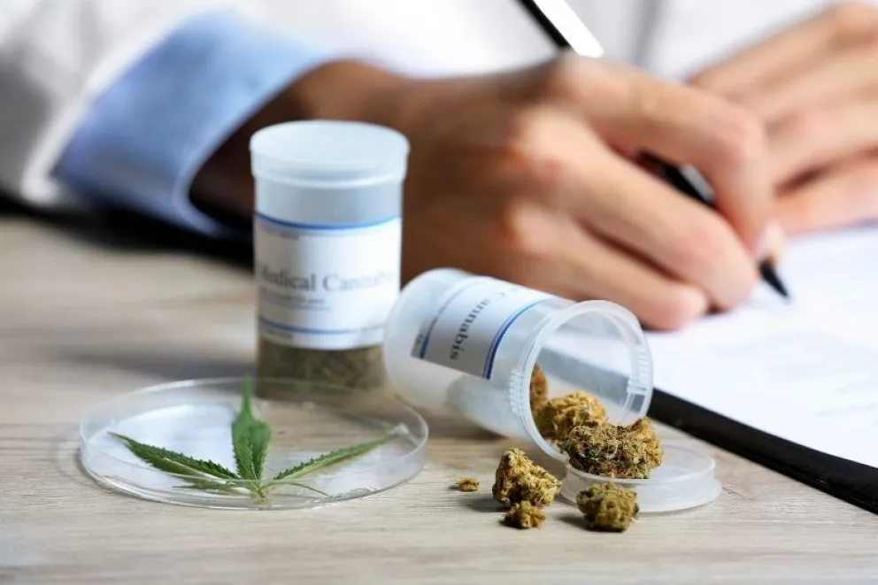 Cannabis Medicinal: se aprobaron los cambios que las ONG del Alto Valle califican de retroceso